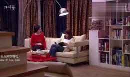 荆棘花在线观看,在线观看，探寻爱与复仇的交织之旅